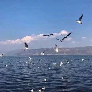 黄色小说少女之心阅读
